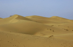 5a607124a0f75.png
