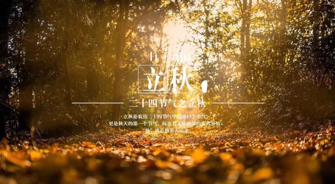 5b6a4eaf9b74e.jpg 5b6a4eaf9b74e.jpg