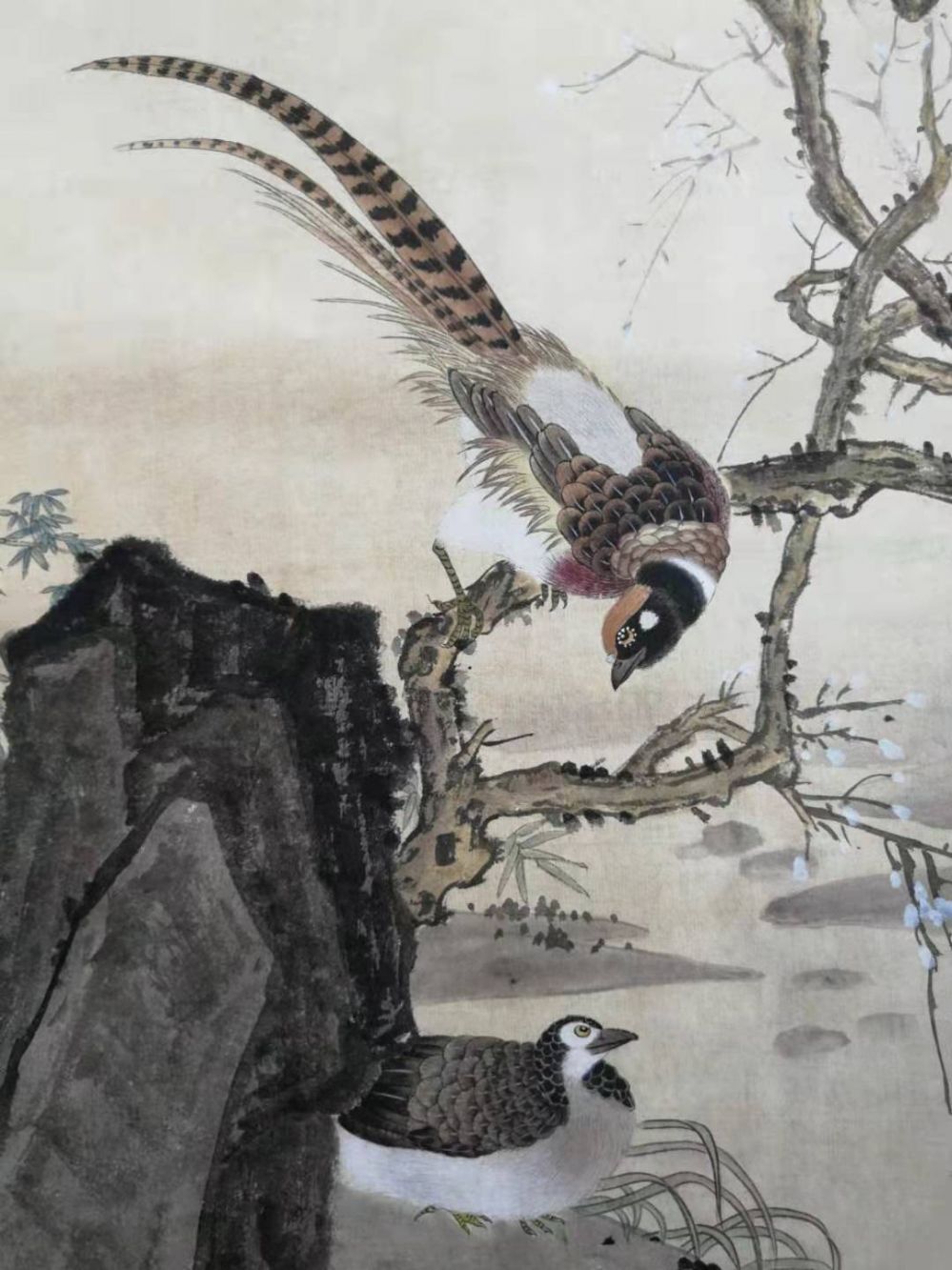 5da8239a617ac.jpg 5da8239a617ac.jpg