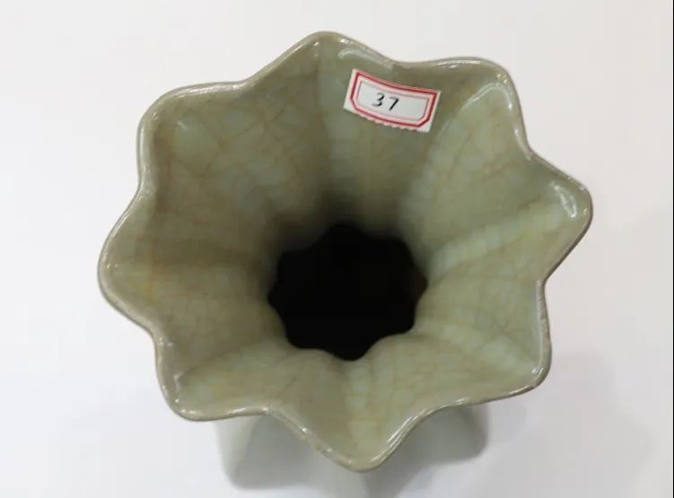 5e61b39458125.jpg