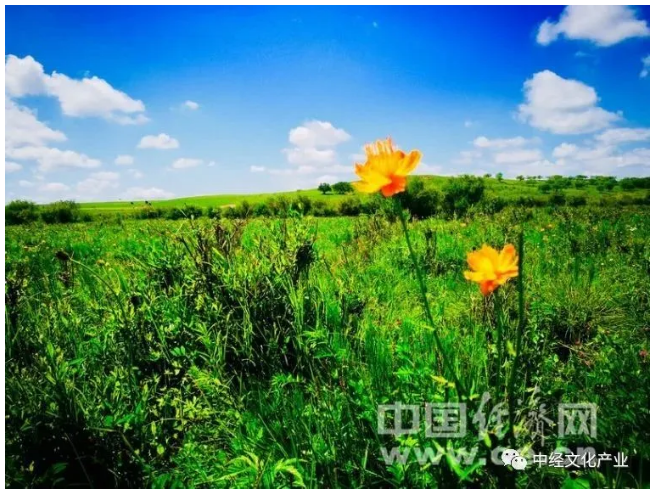 5f0293058d853.png