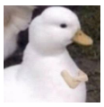 5f6d9913bb39e.png