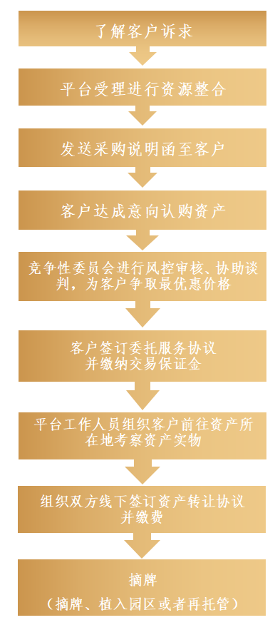 606e6aa33b30c.png