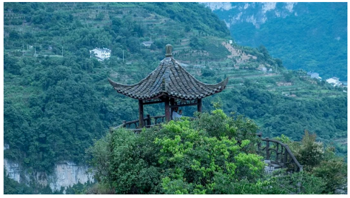 6243fb4c111f5.png 6243fb4c111f5.png