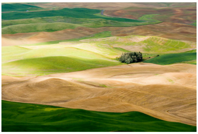 6262630288328.png 6262630288328.png