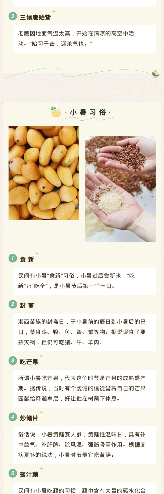 64ab5ddd6600f.jpg