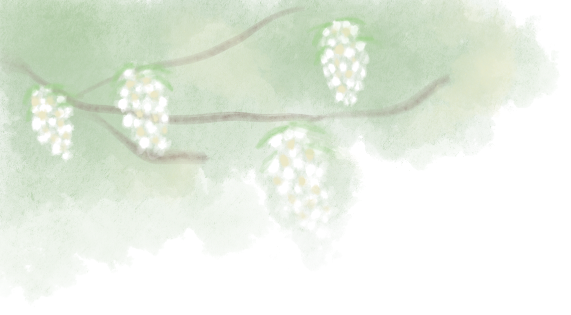 64bddc976a61d.png 64bddc976a61d.png