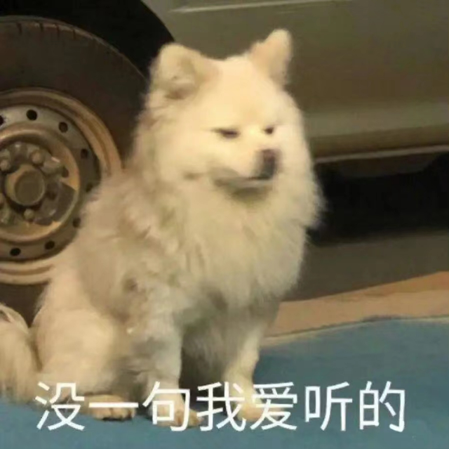 64cc51f370391.png