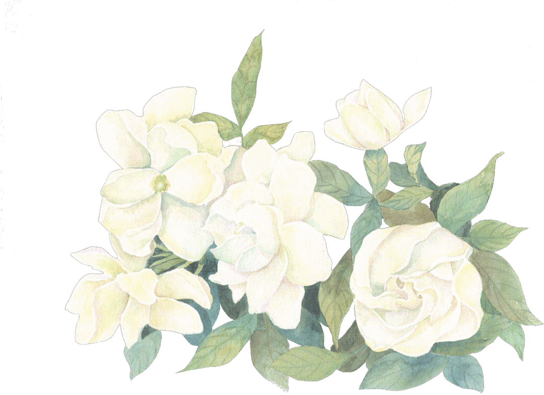 64e8154043a6d.png