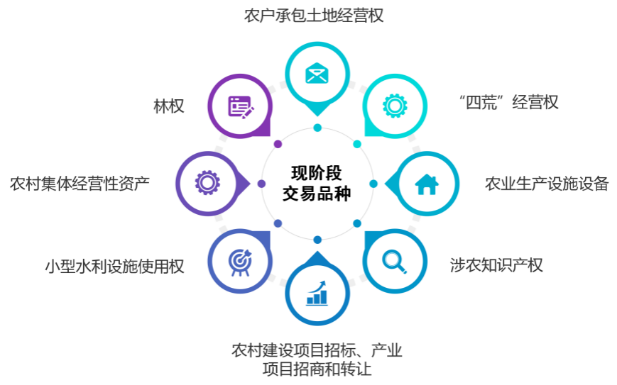 6501169a25cf9.png