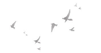 6556c30fdf5ba.png
