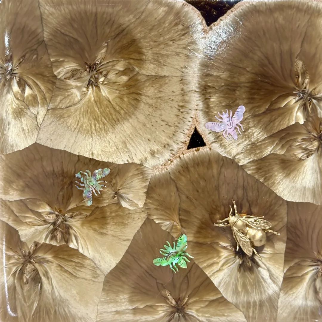 6650049fbfa61.jpg