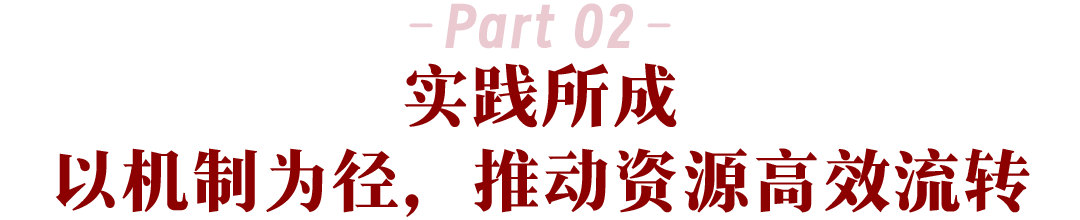 6819c2d7ab37b.png