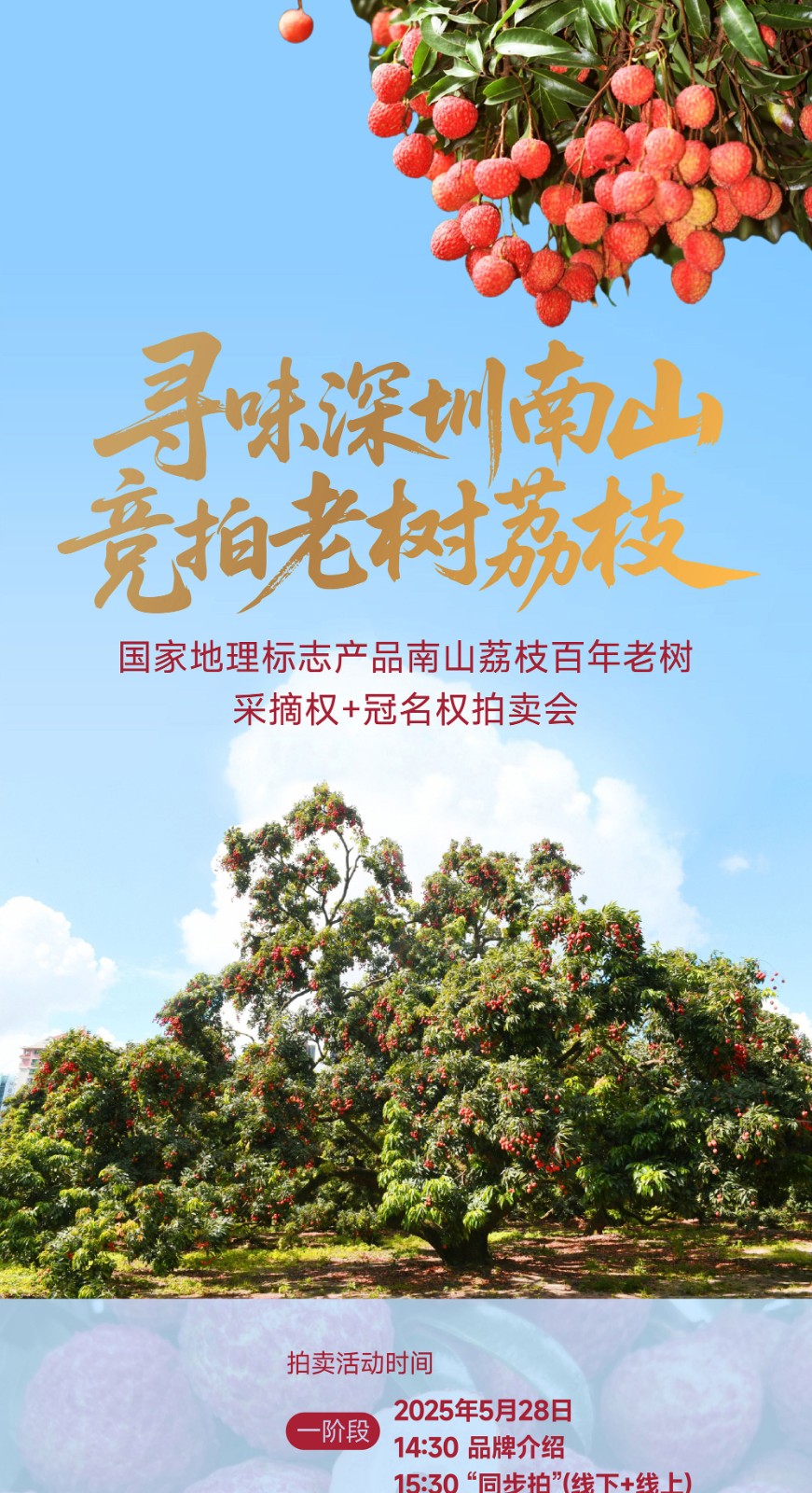 6825b4827eb83.jpg