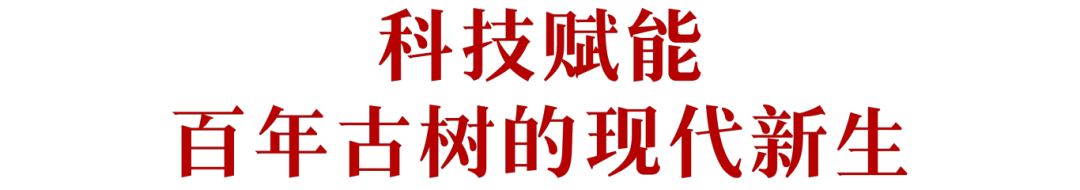 684168fc602c8.png