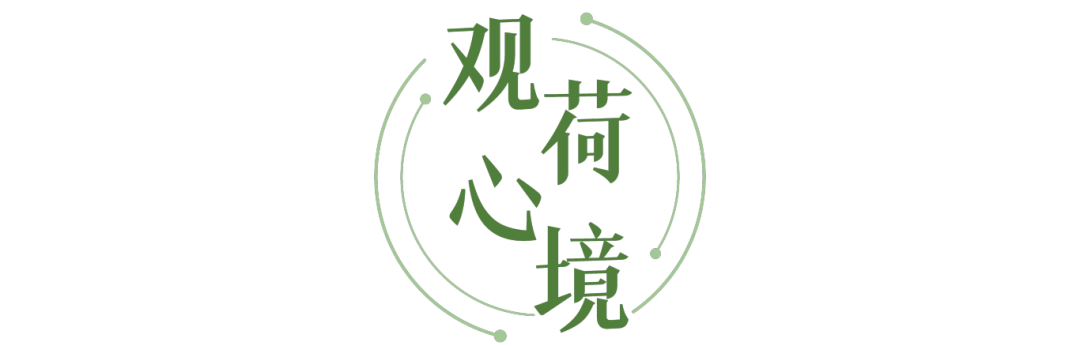 689bea7592ad6.png