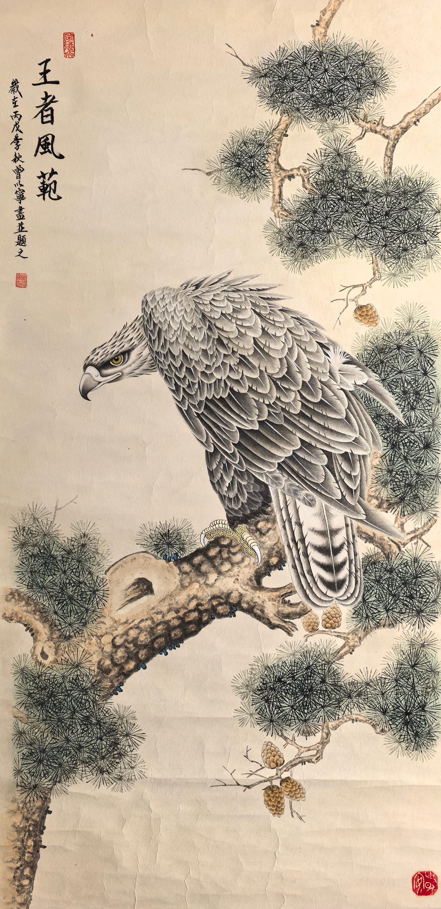 6972d55414bbc.jpg 6972d55414bbc.jpg