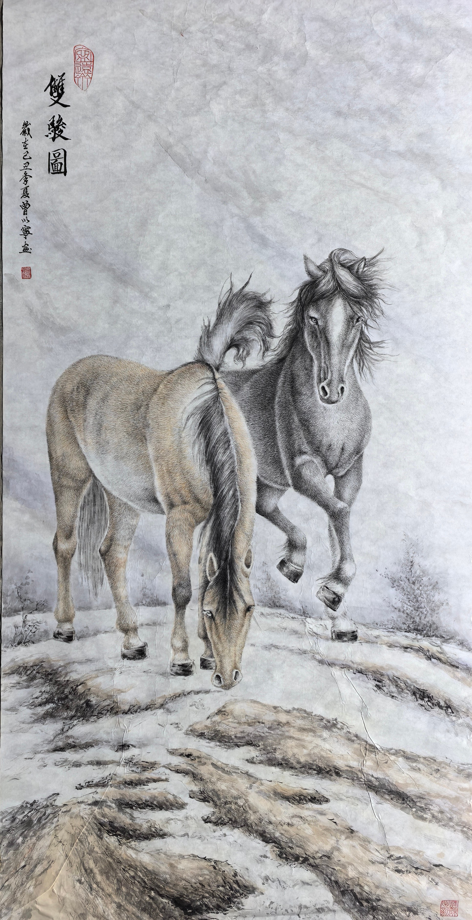 6972d5871154e.jpg 6972d5871154e.jpg