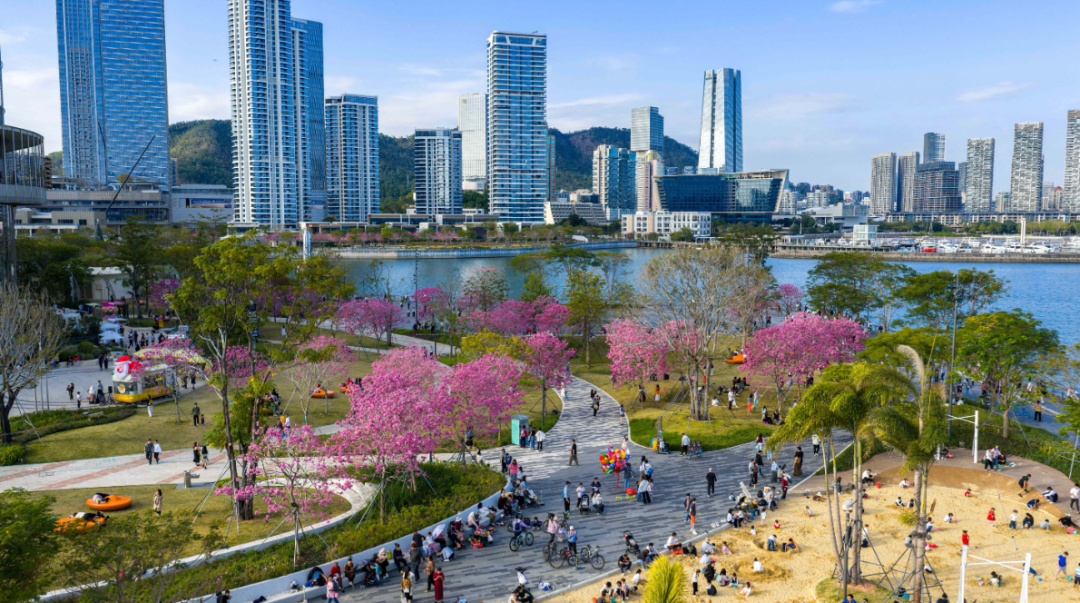 6976cba33cdce.png 6976cba33cdce.png