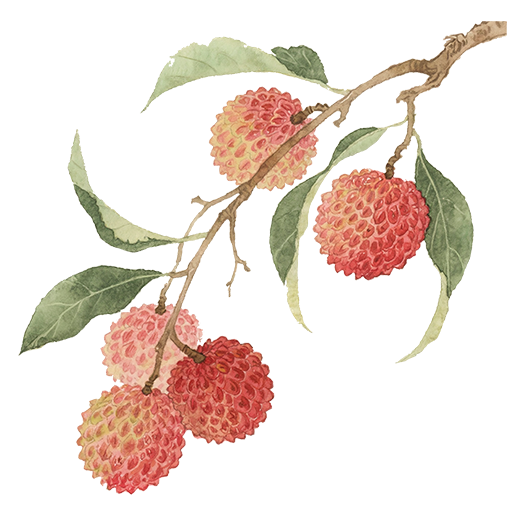 6a292ea1596d2.png 6a292ea1596d2.png